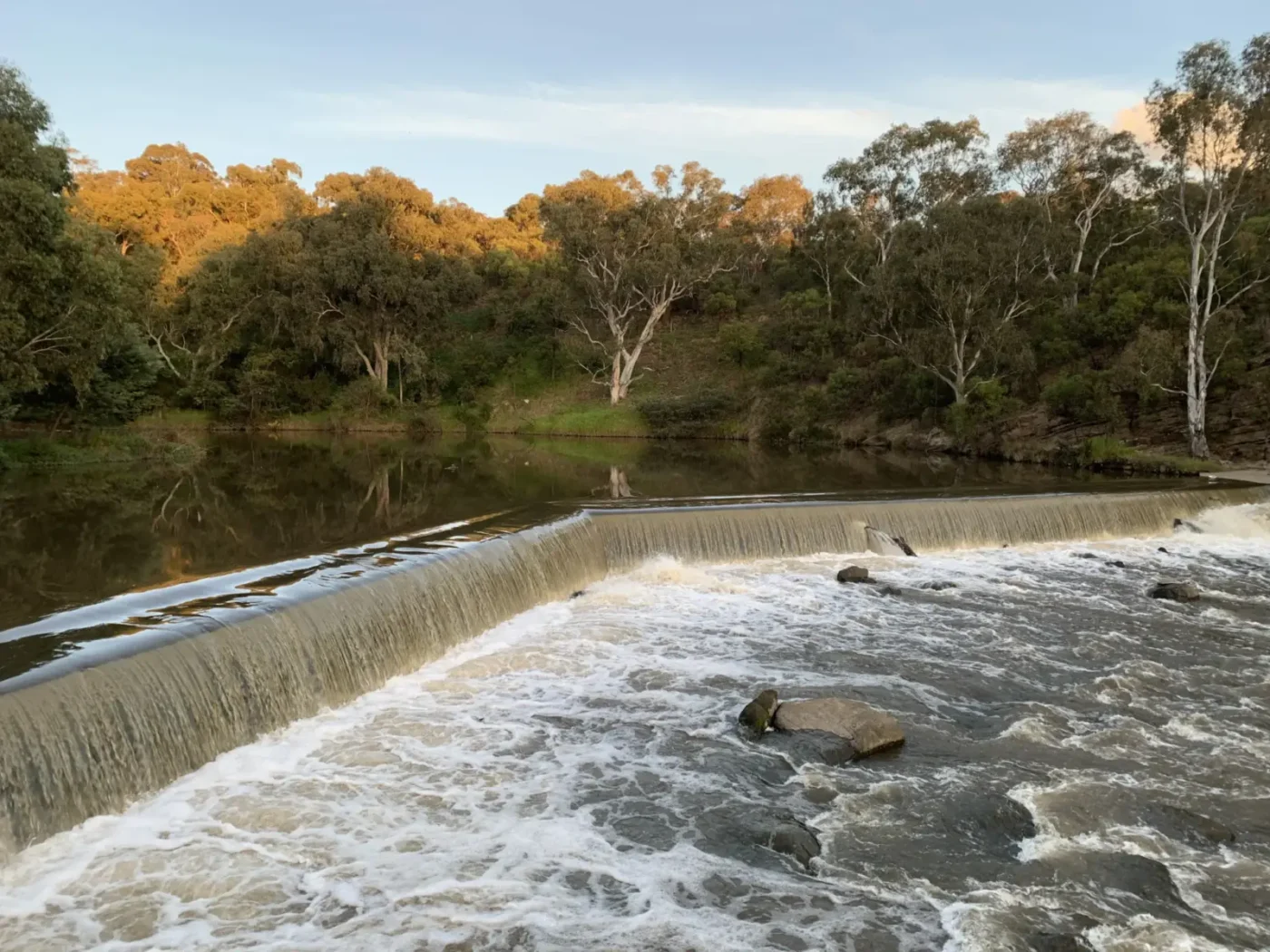 Dights Falls weir on the Yarra River in Abbotsford, framed by gum trees
